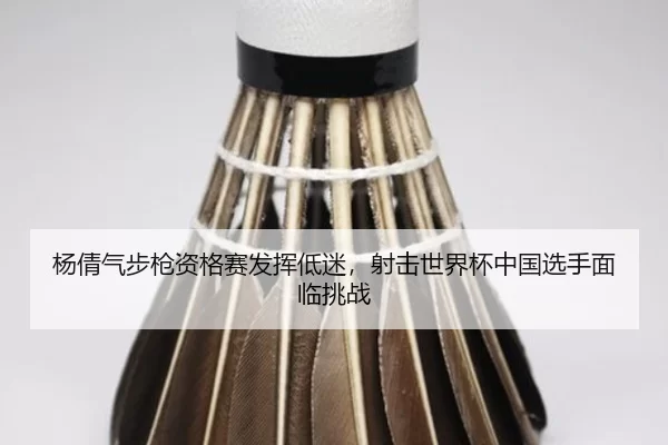 yang-qian-qi-bu-qiang-zi-ge-sai-fa-hui-di-mi-she-ji-shi-jie-bei-zhong-guo-xuan-shou-mian-lin-tiao-zhan-3-646.jpg